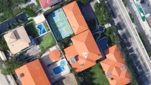 Também quero delatar 1